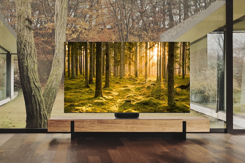 Television